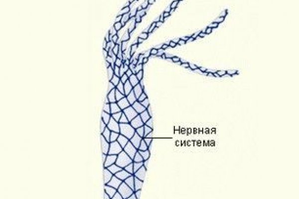 Услуги даркнета