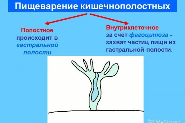 Даркнет официальный сайт на русском