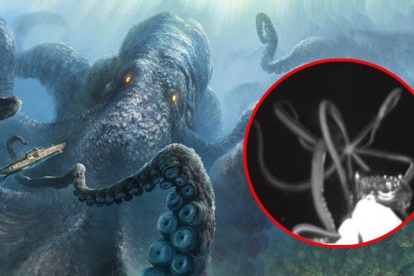 Hydra kraken