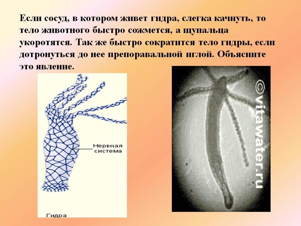 2krn ссылка