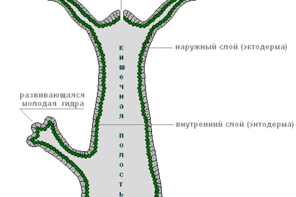 Не зачисляются деньги на кракен